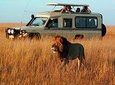 Cape Town Private, The Best Of Big Five Safari Tour