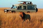 Cape Town Private, The Best Of Big Five Safari Tour