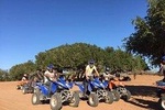 adventure quad agadir: half day sand dune and argan forest