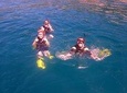Snorkeling at Hon Mun island