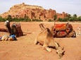 10D 9N Private Morocco Tour From Casablanca By Imperial Cities And South Desert