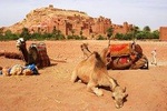 10D 9N Private Morocco Tour From Casablanca By Imperial Cities And South Desert