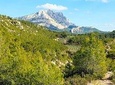 Aix-en-Provence, Cézanne, Mt Sainte Victoire & the Wine of Provence private tour