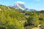 Aix-en-Provence, Cézanne, Mt Sainte Victoire & the Wine of Provence private tour