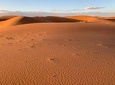 Sahara Desert 4-Day Tour from Marrakech