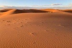 Sahara Desert 4-Day Tour from Marrakech