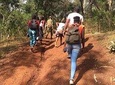 Ngare Ndare Forest