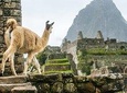 Machu Picchu (Day Trip)