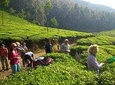 Kerala Cycle, Trek & Houseboat Tour