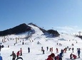 Private Round-Trip Transfer to Wanlong Ski Resort From Beijing
