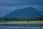 Udawalawe National Park Shared Safari