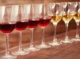 Luxury Wine Tasting in Bolgheri