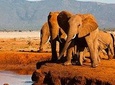 4 Days Special Circuit In Kenya