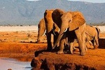 4 Days Special Circuit In Kenya
