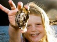 Knysna Oyster Tour