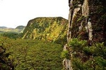 Hiking Passagem das bestas - Terceira island