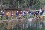 "Biosphere Reserve" & Arieiro Peak Full day Tour in Open Roof 4x4