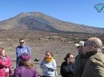 Vulcanism of Tenerife at your fingertips