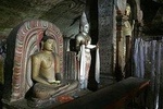 Day trip to Sigiriya & Dambulla - All Inclusive Tour