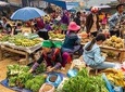 Sapa, Bac Ha Market Tour - 1 Day Tour