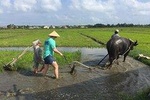 Hoi An Countrylife Tour Experience & Vietnamese Dinner