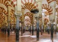 Day trip to Cordoba from Seville: Mosque, Alcazar and Juderia