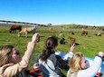 The best of SouthWest - open top roof 4x4 experience