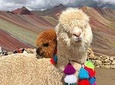 Visit the Mountain of 7 colors and the Red Valley