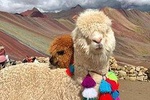 Visit the Mountain of 7 colors and the Red Valley