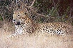 Highlights of Sri Lanka (10 Days)