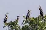 Bundala National Park Safari From Hambantota Port
