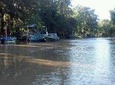 Private Tigre Delta, Northern Buenos Aires & San Isidro