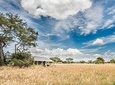 5 Days Serengeti Migration Safari