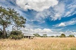 5 Days Serengeti Migration Safari