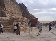 The pyramids, the Sphinx and Saqqara the step pyramid!