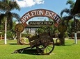 Appleton Estate Rum Tour and Tasting from Falmouth