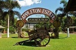 Appleton Estate Rum Tour and Tasting from Falmouth