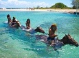 Jamaica Zipline and Horseback Ride n Swim Adventure Tour from Ocho Rios