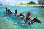 Jamaica Zipline and Horseback Ride n Swim Adventure Tour from Ocho Rios