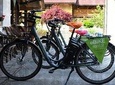 Rent an eBike in Bled