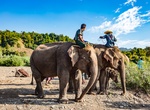 Visit Green Hill Valley Elephant Camp, Kalaw, Myanmar