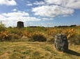 Culloden, Clava Cairns Private Day Tour from Edinburgh