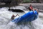 Riggins Idaho half-day rafting trip on the Salmon River