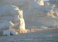 Desert Safari - Baharia Oasis, White desert, and Black desert Tour