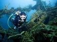 Coron Reefs & Wreck Tour (Shared Tour)