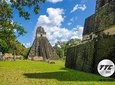 TIKAL TOUR - 2 DAYS, 1 NIGHT - from Guatemala City
