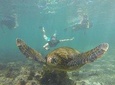 Los Tuneles Snorkeling Day Tour