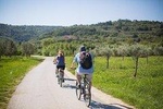 Panoramic Parenzana Bike Tour from Koper