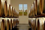 Private Full Day Wine Tour from Bordeaux