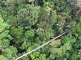 Hanging Bridges + La Fortuna Waterfall + Farm Lunch